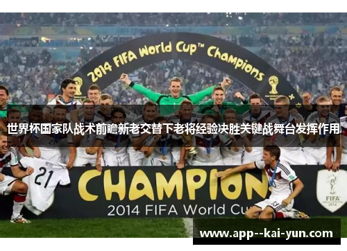 世界杯国家队战术前瞻新老交替下老将经验决胜关键战舞台发挥作用