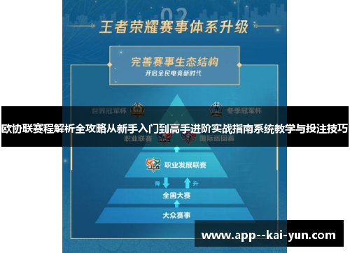 欧协联赛程解析全攻略从新手入门到高手进阶实战指南系统教学与投注技巧