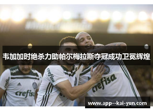 韦加加时绝杀力助帕尔梅拉斯夺冠成功卫冕辉煌